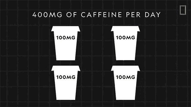 400mg Of Caffeine Per Day National Geographic GIF