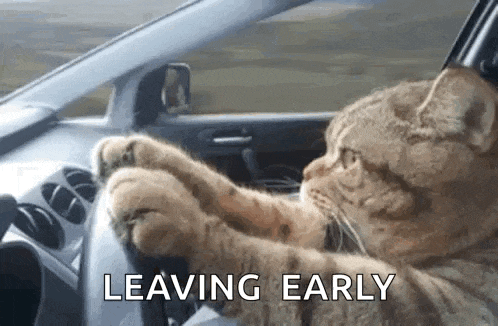 44 GIF