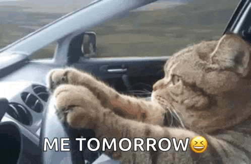 44 GIF
