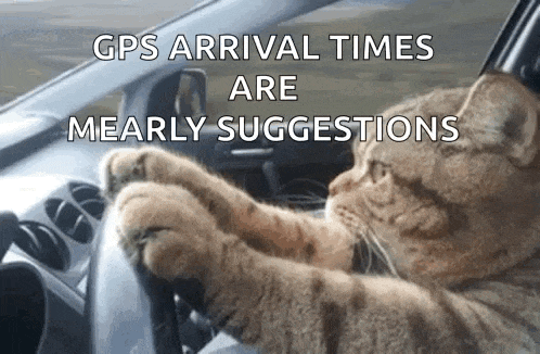 44 GIF