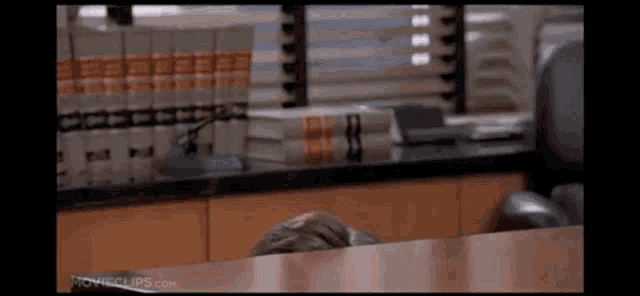 449 GIF