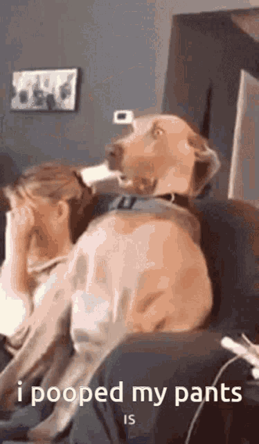 46 GIF