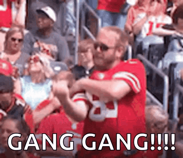 49ers Fan GIF