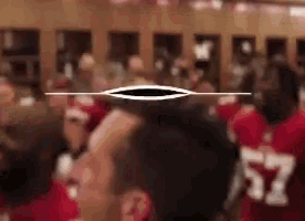 49ers Sf GIF