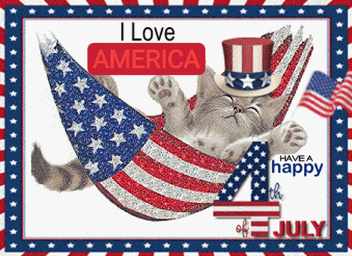 4th Of July GIF
