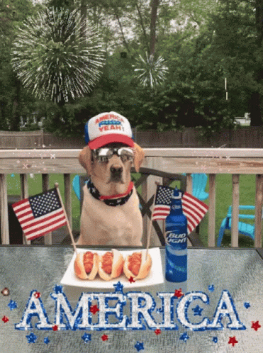 4th Of July Happy4th Of July GIF. This 371 x 498 animated GIF is part of our most american collection. Related themes include 4th of july, independence day…