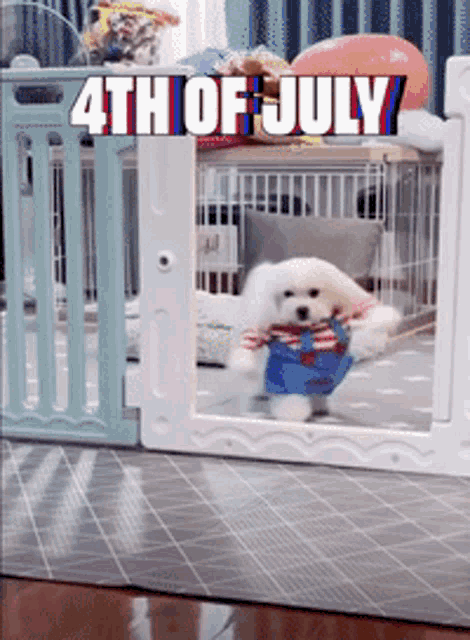 4th Of GIF