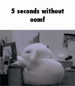5 Seconds Oomf GIF