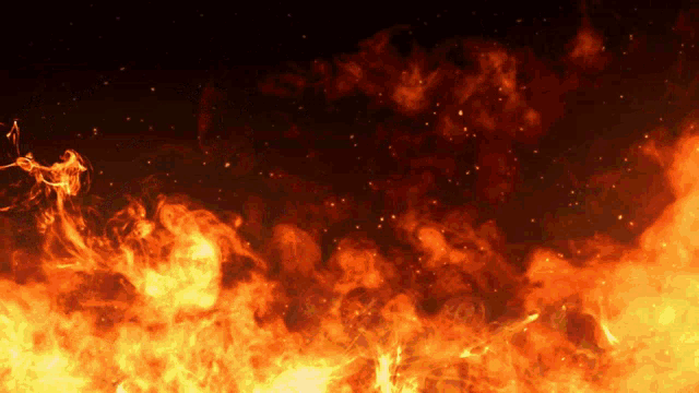 5dragons Pokies GIF