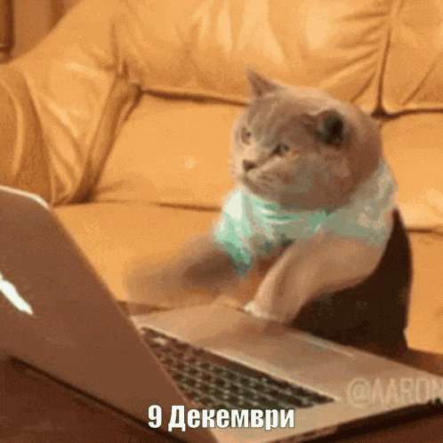 9dekemvri GIF