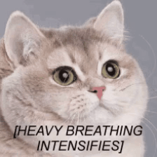 Aşk GIF