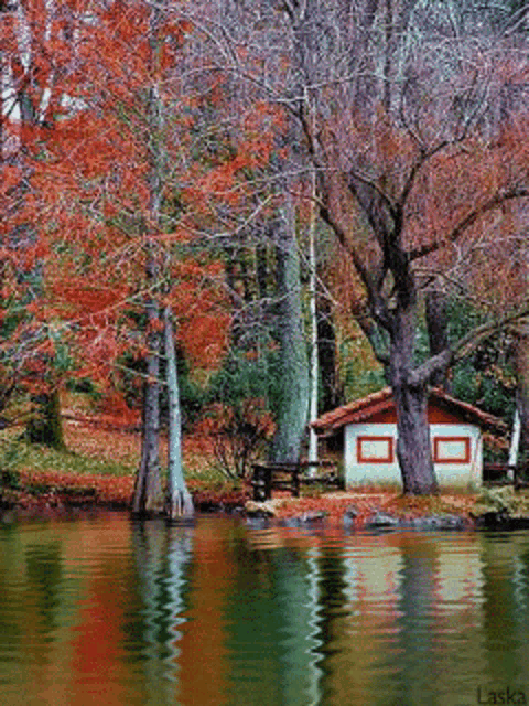 A Beautiful Nature Picture Nature GIF