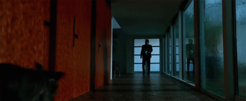 A Story Of Friendship Running GIF. This 498 x 206 animated GIF is part of our john wick dog collection. Related themes include best friends, come here, john…
