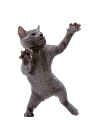 A GIF