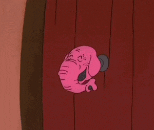 A5m Albert GIF