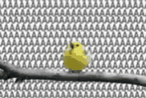 Aaa Ahh GIF