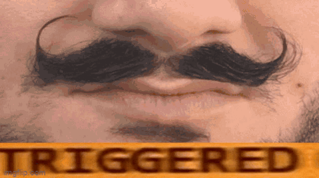 Aaron Gobidas Go Be Rewarded GIF