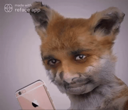 Aathu Alluarjun GIF