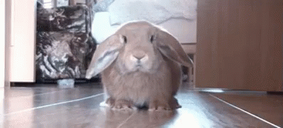 Abandon Thread GIF