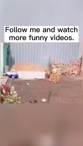 Abell46s Funny GIF. This 283 x 498 animated GIF is part of our hitze lustige bilder collection. Related themes include bravo, funny, meme. Created by…