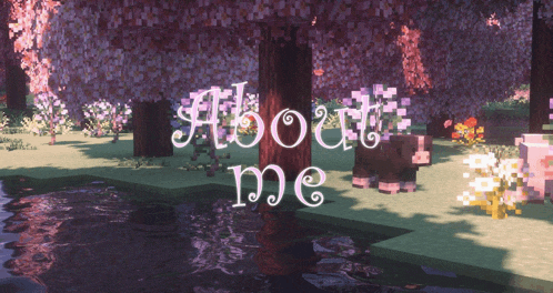About Me Meme