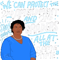 Abrams For Governor Gun Laws Sticker