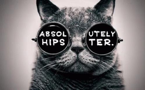 Absolutely Hipster GIF. This 498 x 310 animated GIF is part of our fondos tumblr hipster collection. Related themes include cat. View the original…