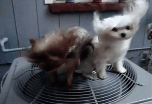 Ac Air Condtioner GIF