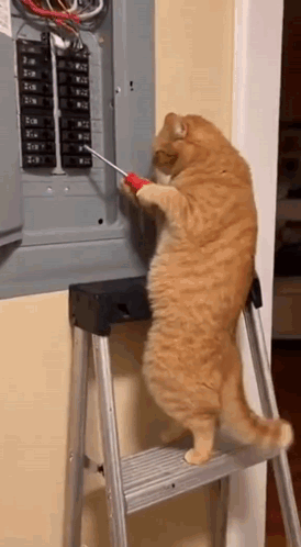 Accident Electricity GIF