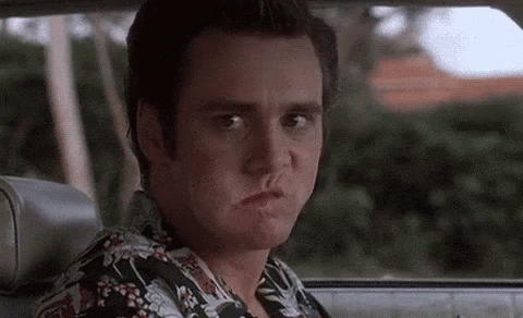 Ace Ventura Jim Carrey GIF. This 480 x 292 animated GIF is part of our einhorn is finkle collection. Related themes include ace ventura, jim carrey. View…