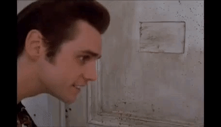 Ace Waiting GIF. This 456 x 262 animated GIF is part of our einhorn is finkle collection. Created by LouD82. View the original animation, share it, or…