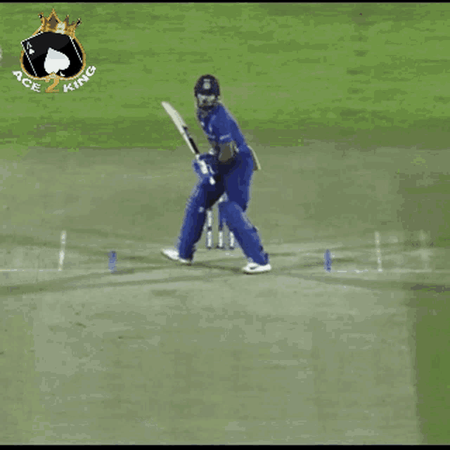 Ace2king Cricket GIF