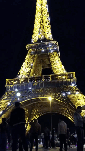 Acj Cruz Jackson GIF. This 281 x 498 animated GIF is part of our torre eiffel collection. Created by sobronxjourno. View the original animation, share it…
