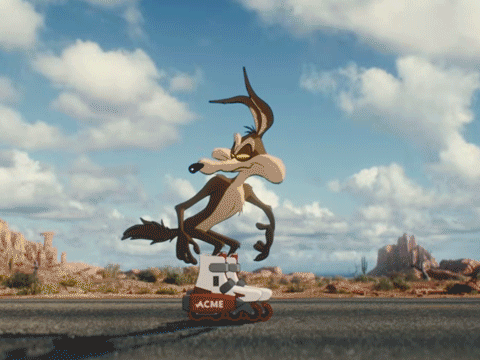Acme Vs Coyote Wile E Coyote GIF