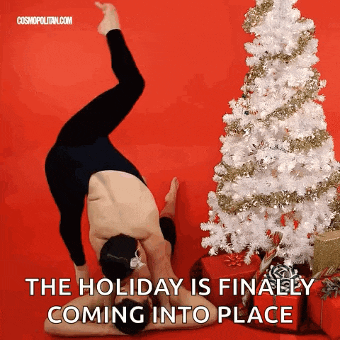 Acroyoga Acrobatics GIF
