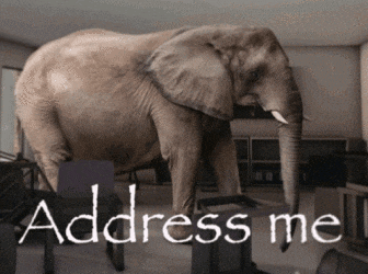 Addressme Elephant Meme