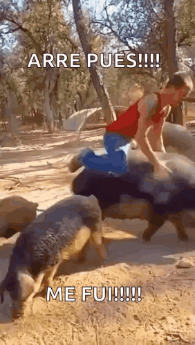 Adios Adios Meme GIF