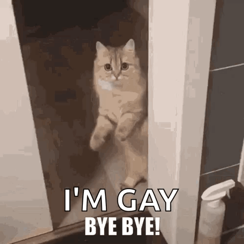 Adios Amigo GIF