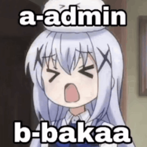 Admin Admin Baka GIF