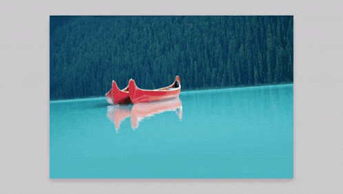Adobe Photoshop Crop Tool GIF