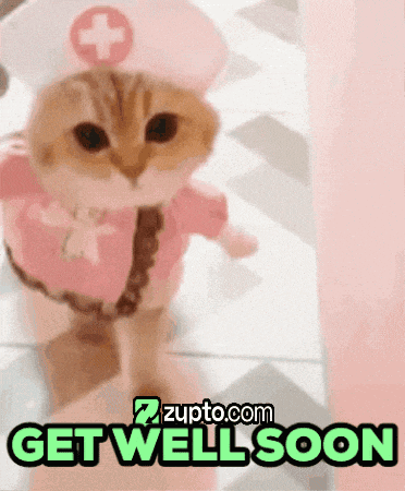 Adorable Cat Animal Costume GIF