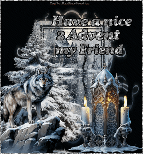 Advent Winter GIF
