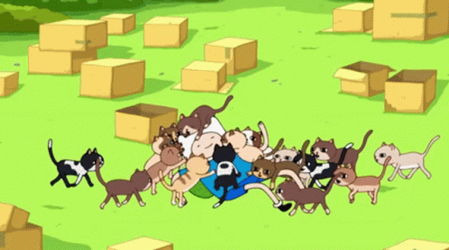 Adventure Time Finn Cats GIF. This 498 x 278 animated GIF is part of our simpsons crazy cat lady collection. Created by FarExponent. View the original…