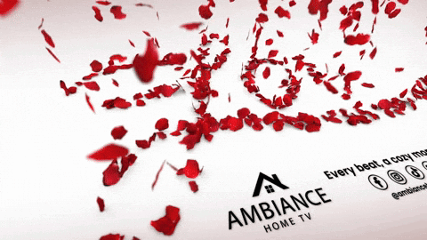 Aesthetic Ambiance GIF