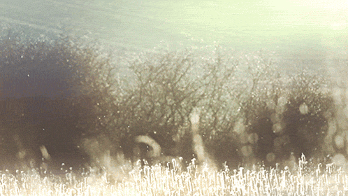 Aesthetic Ethel Cain GIF