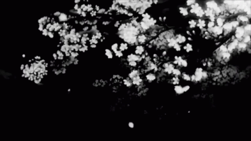 Aesthetic Minimalist GIF