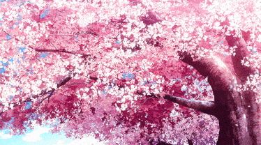 Aesthetic GIF