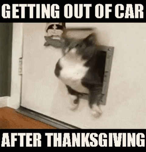 After Thanksgiving GIF