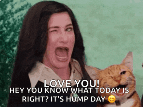 Agatha Wink Cat Meme