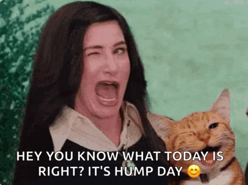 Agatha Wink Cat Meme
